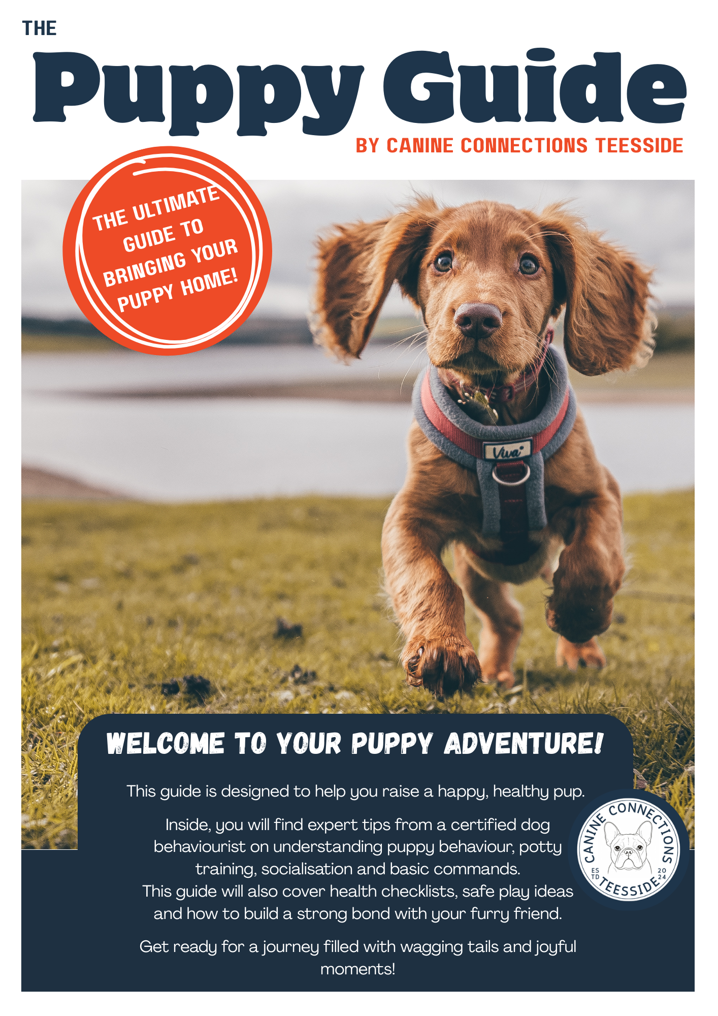 The Puppy Guide | Puppy Training, Socialisation & First-Time Owner Support (30-Page eBook)