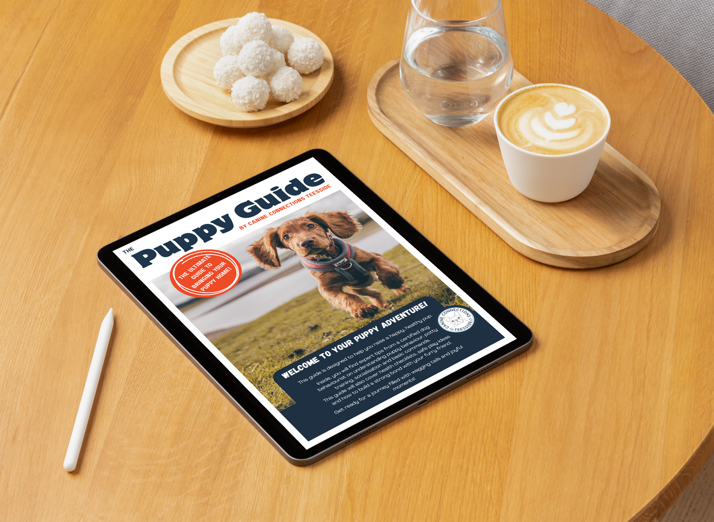 The Puppy Guide | Puppy Training, Socialisation & First-Time Owner Support (30-Page eBook)