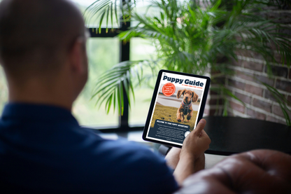 The Puppy Guide | Puppy Training, Socialisation & First-Time Owner Support (30-Page eBook)